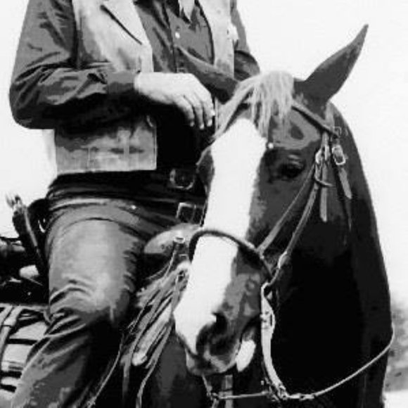 True Grit John Wayne High-End Paint By Numbers Kit - Picture 4 of 4